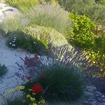 Ammirare Rab Apartament