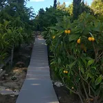Ammirare Rab Apartament *