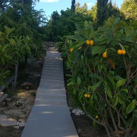 Ammirare Rab Apartmán *