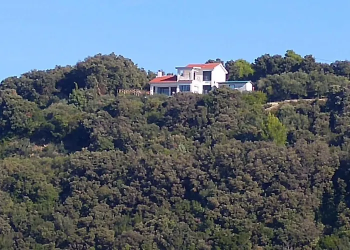 Ammirare Rab Rab Town